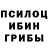 Галлюциногенные грибы Magic Shrooms Sylvio Gizzi