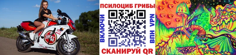 Псилоцибиновые грибы Cubensis Благовещенск